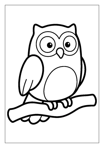 Coloriage d'un hibou avec de grands yeux posé sur une branche avec des feuilles.